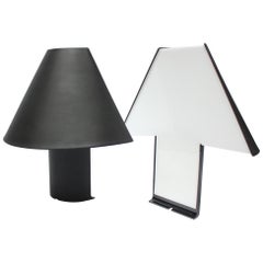 Pair of Italian "Edipo" Acrylic Table Lamps by Mario Barbaglia and Marco Colombo