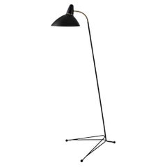 Lightsome Black Noir Floor Lamp by Warm Nordic