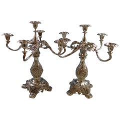 Chrysanthemum by Tiffany Sterling Silver Candelabra Pair 5-Light Hollowware