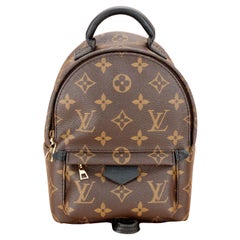 Louis Vuitton Palm Springs Mini Backpack