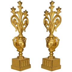 A Fine Pair of Italian Rococo Gilt Wood Candelabras