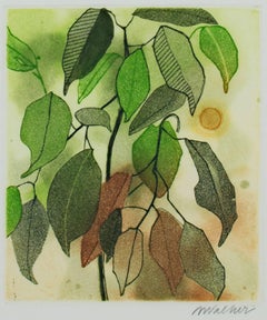 "Plant Leaves, " Color Etching and Aquatint signed by Anne Walker