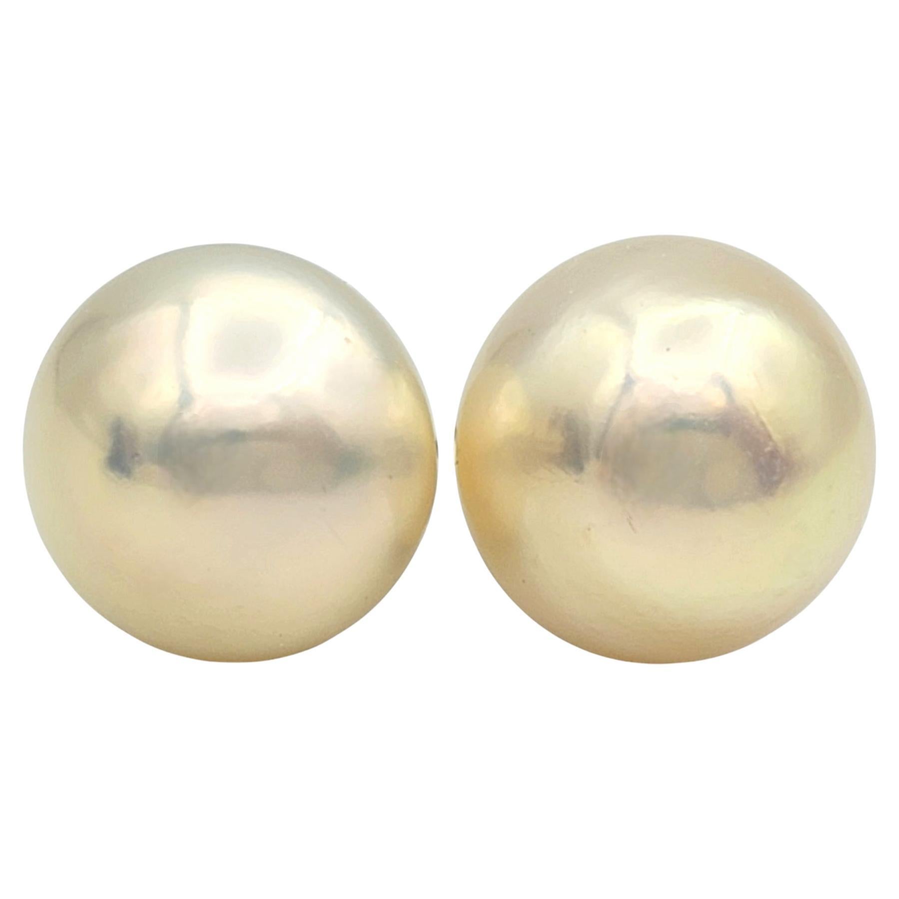 Cultured Freshwater Pearl Classic 12.5 mm Stud Earrings in 14 Karat White Gold 