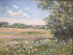 Field of Daisies