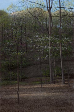 Dogwoods, Flowering Dogwood Trees in a Wooded Landscape, Oil on Panel