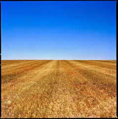 Wyoming - Blue Sky and Golden Field, Fine Art Photography, 2022