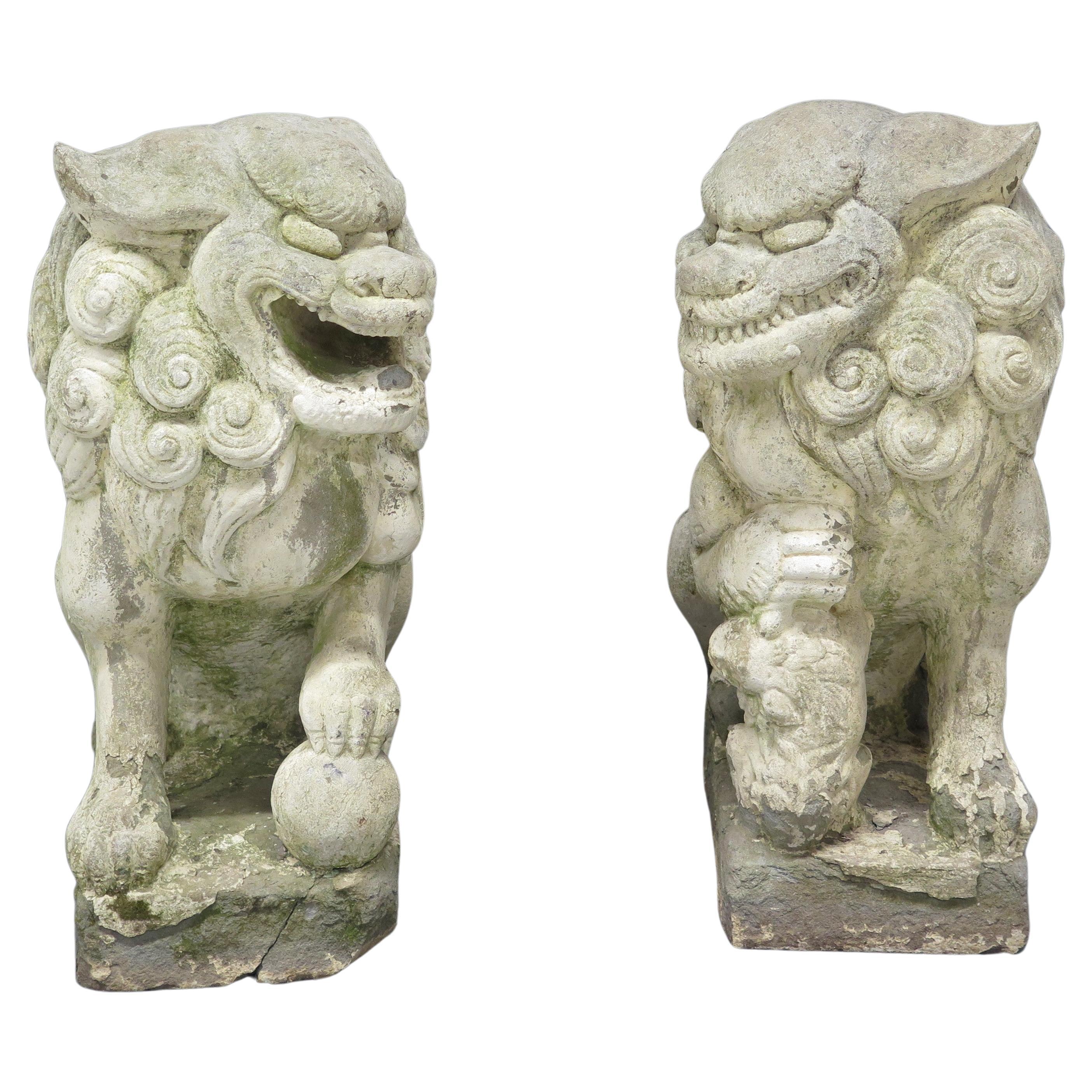 Pair of Large Scale Carved Stone Chinese Foo Dogs / Temple Lions