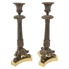 Pair of Neo Classical Bronze Candlesticks