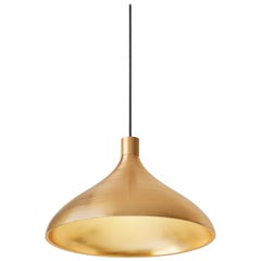 Wide Swell Pendant Light in Brass by Pablo Designs