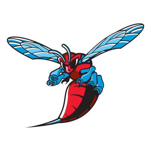 Delaware State Hornets