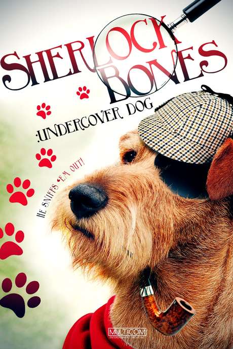 ‎Sherlock: Undercover Dog (1994) directed by Richard Harding Gardner ...