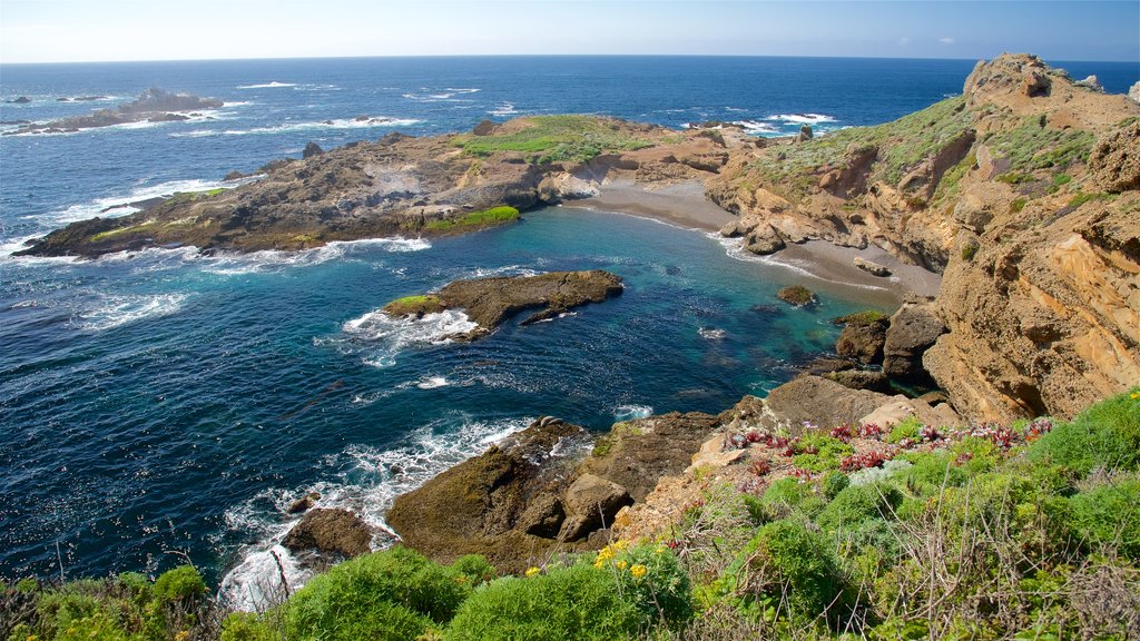 Point Lobos State Reserve