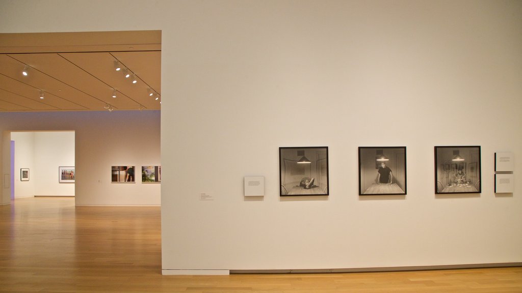 Modern Art Museum of Fort Worth featuring interior views and art