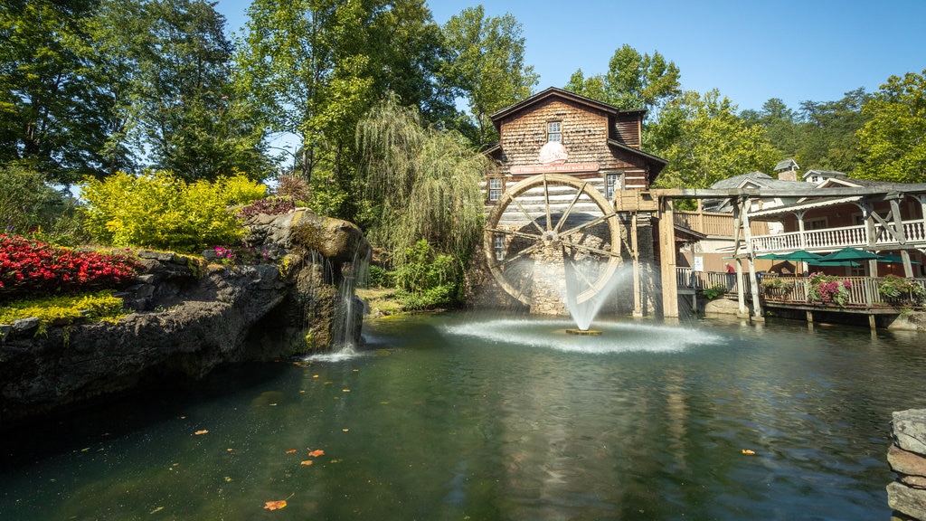 Dollywood which includes a fountain and a pond