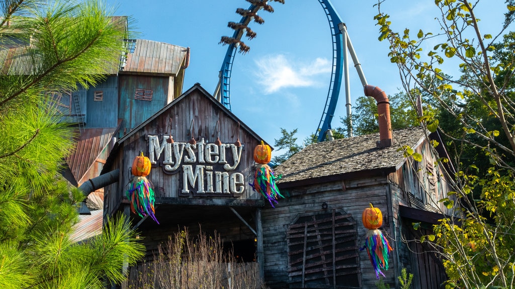 Dollywood showing rides and signage