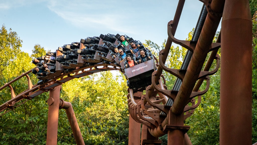 Dollywood which includes rides as well as a small group of people