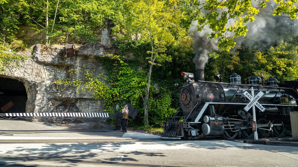 Dollywood which includes railway items