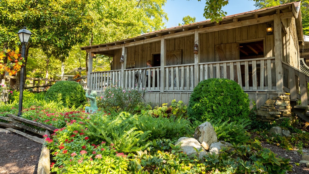 Dollywood which includes heritage elements, a house and wildflowers