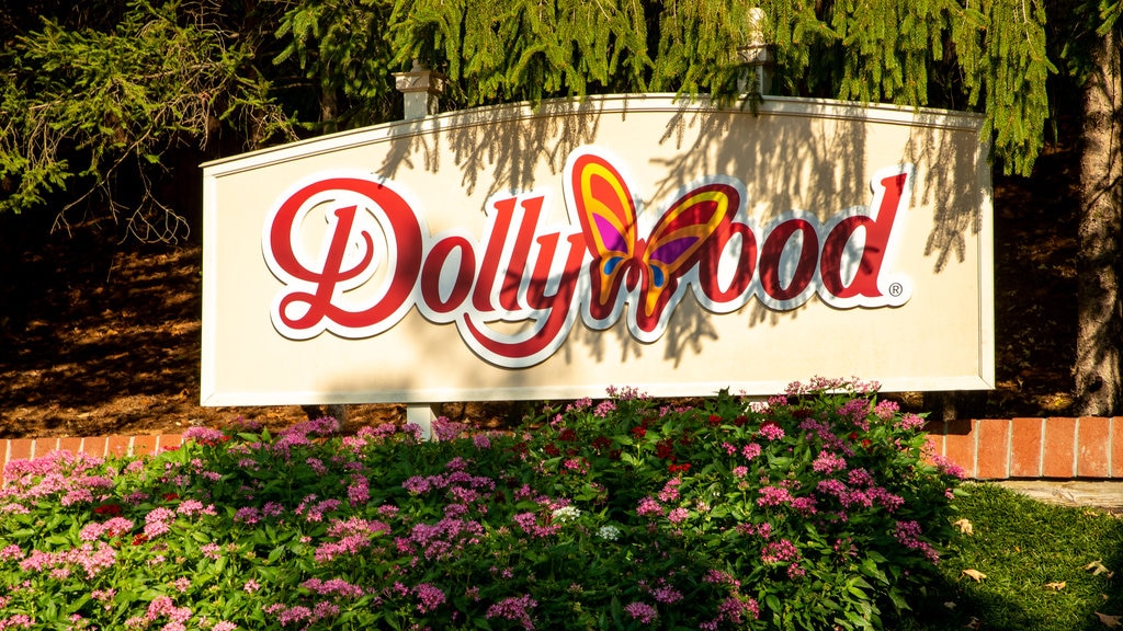 Dollywood featuring wildflowers, a garden and signage