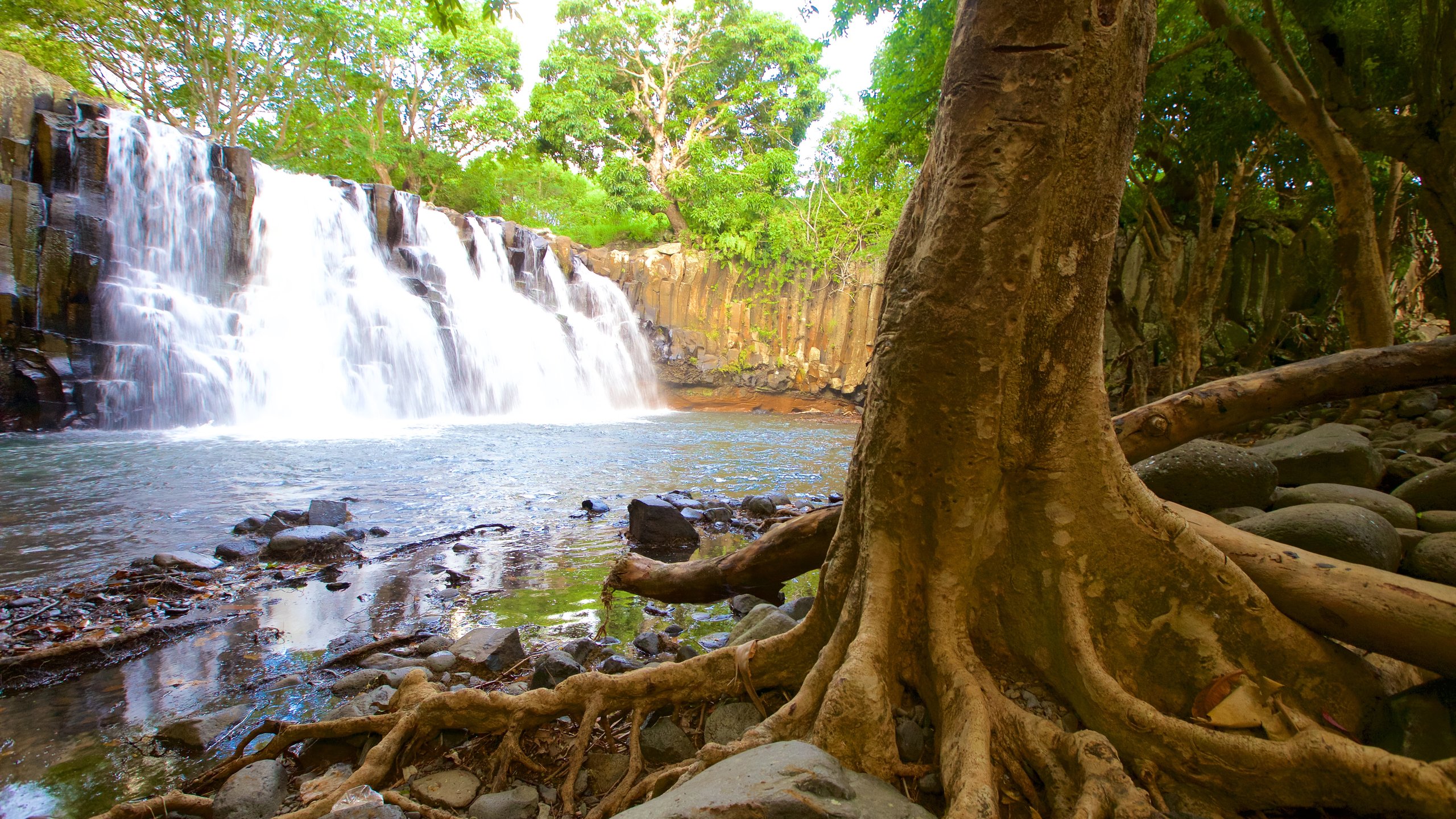 Black River Gorges National Park showing a cascade and a river or creek