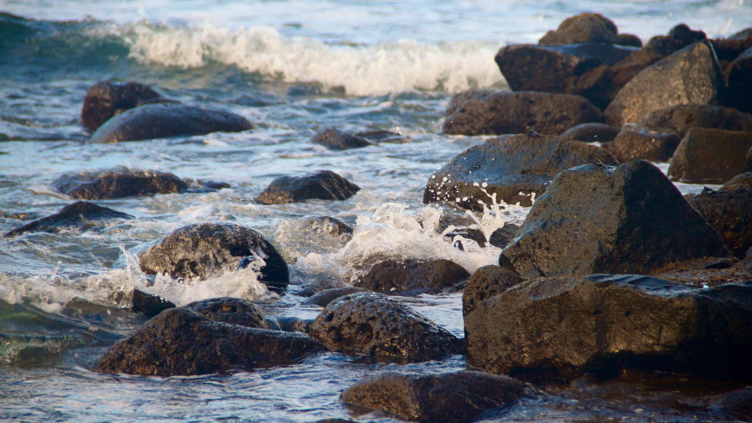 Onekahakaha Beach Park which includes rugged coastline