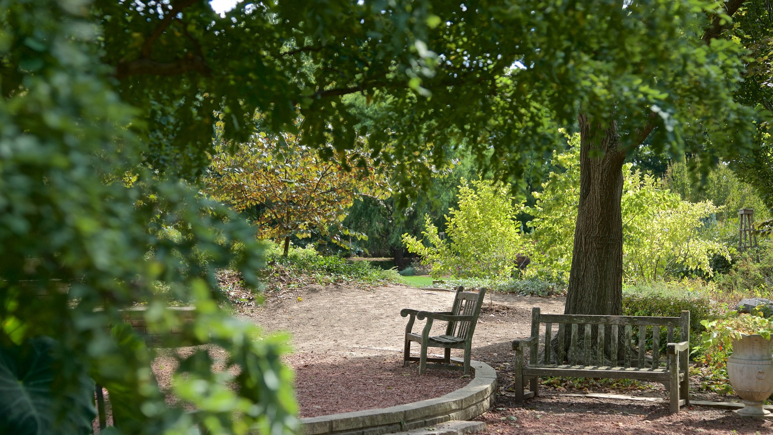 Luthy Botanical Garden featuring a park