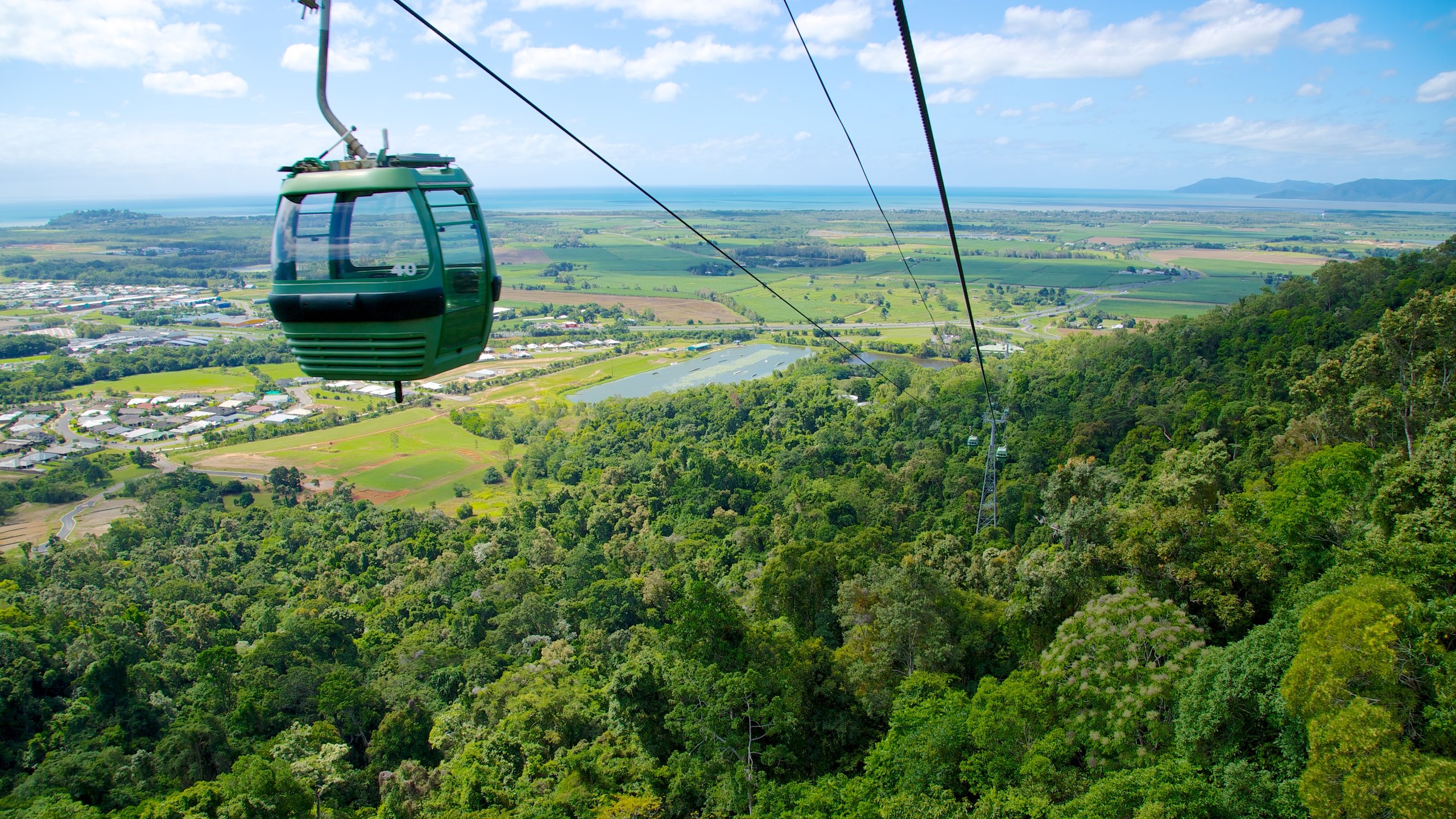 Skyrail Rainforest Cableway showing forests and rainforest