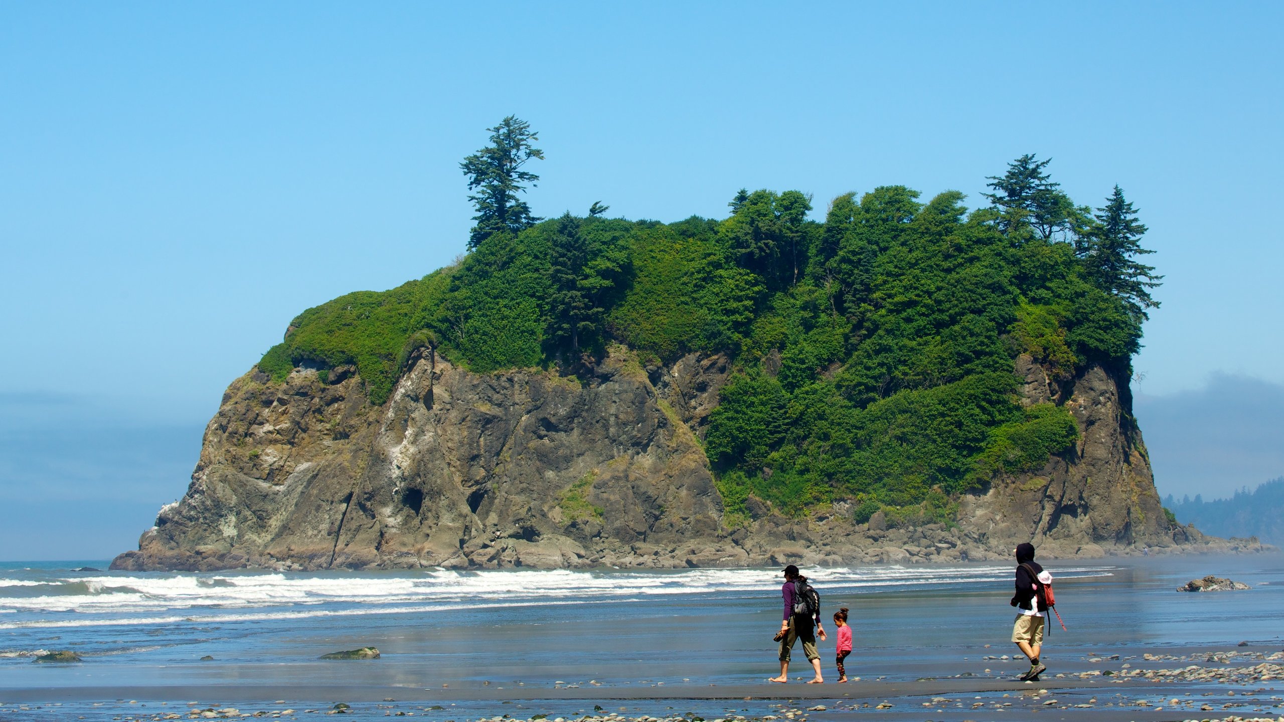 Ruby Beach showing general coastal views as well as a family