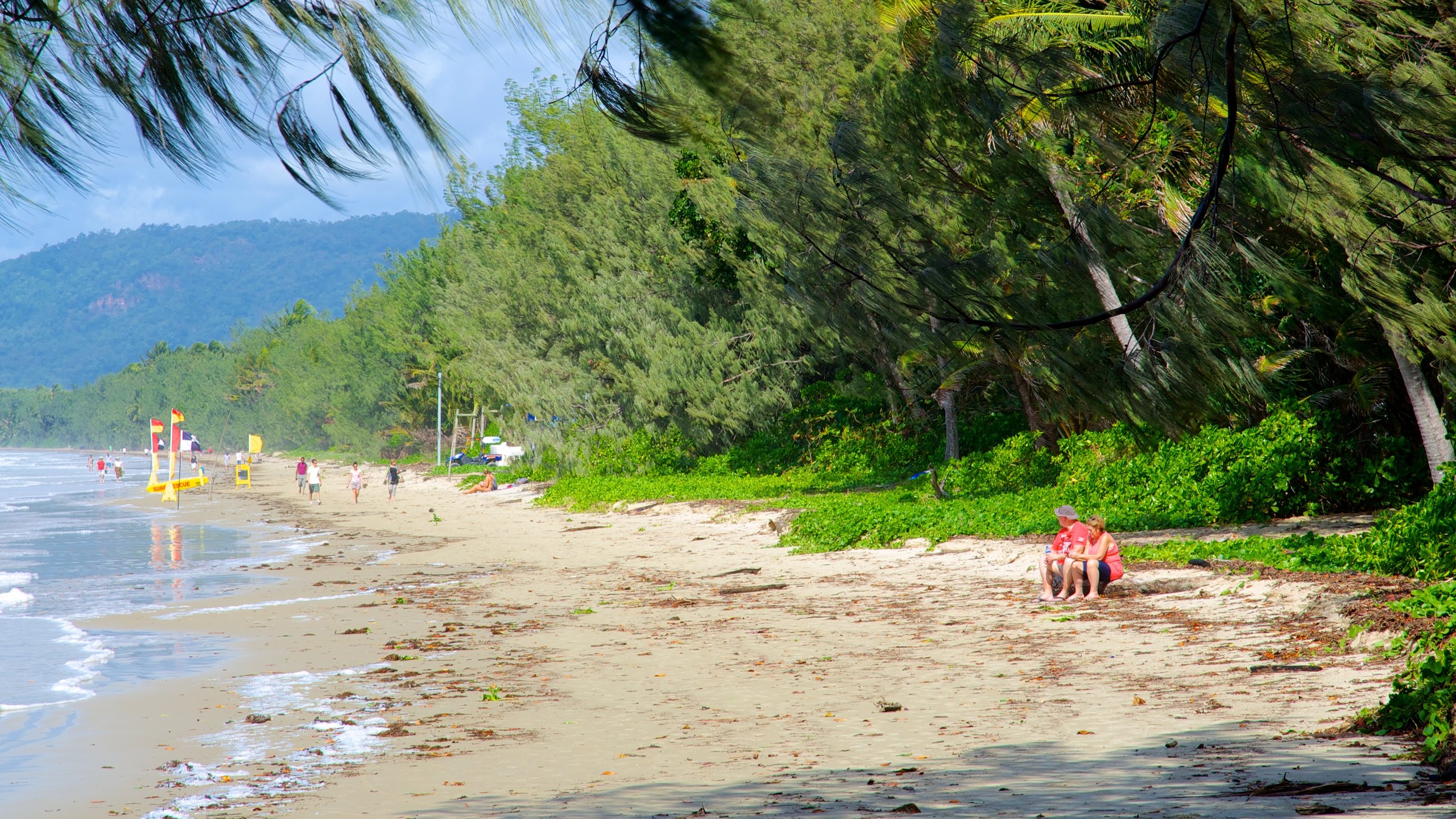 Four Mile Beach featuring a sandy beach and general coastal views