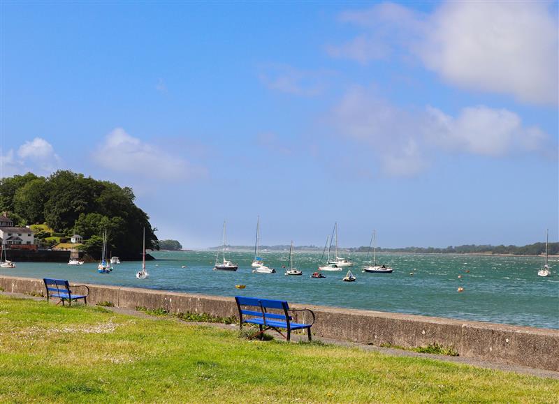 The garden at 23 Beach Road, Y Felinheli