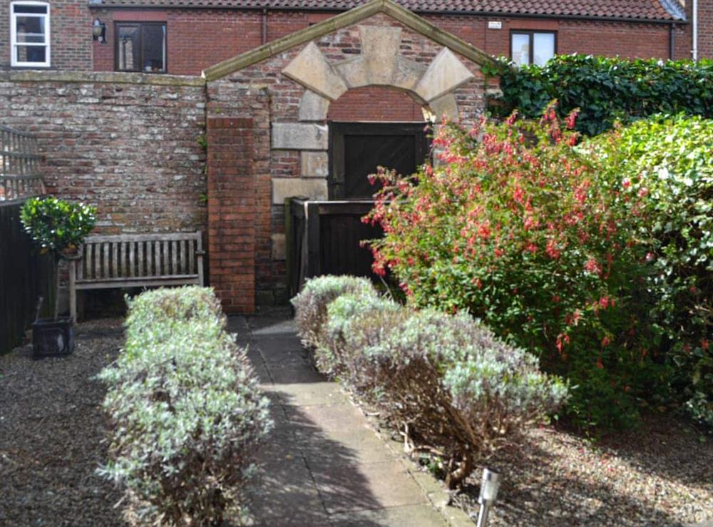 Garden at Mulberry in York, North Yorkshire