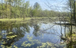 Mid-Atlantic Blackwaters & Bays NAWCA Project. Ducks Unlimited