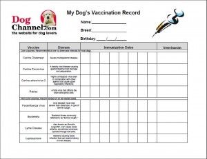 Puppy Health Record   Fill Online, Printable, Fillable, Blank 