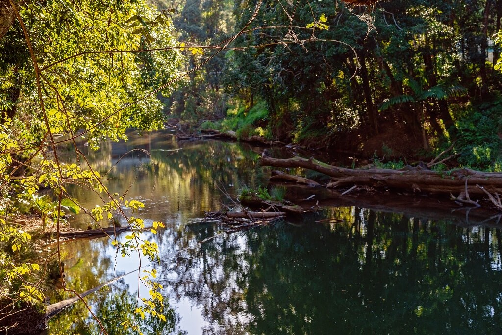 Creeks and gullies of Riverhills, flowing down to the Brisbane River