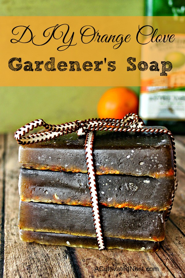 DIY Orange Olive Oil Gardener's Soap- This heavenly scented exfoliating DIY Orange Clove Gardeners bar soap works really well for garden soil stained hands as well as for oil stained hands! | DIY, homemade soap, homemade beauty products, gardening