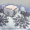 Classy Winter Wonderland Wedding Centerpieces Ideas18