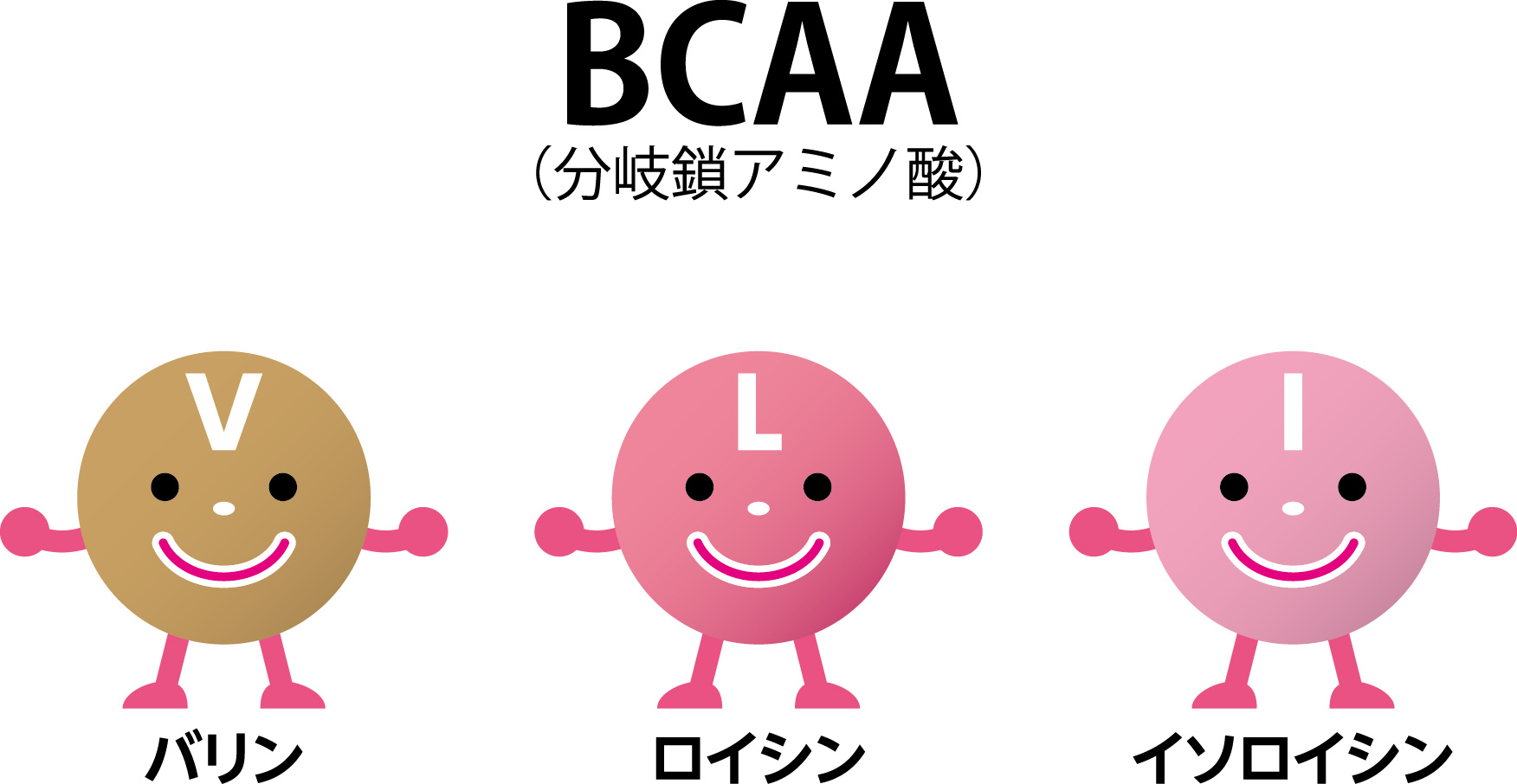 BCAAは「ロイシン」「イソロイシン」「バリン」