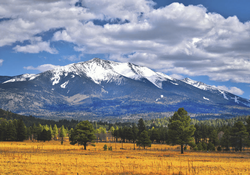 Humphreys Peak AZ in the spring