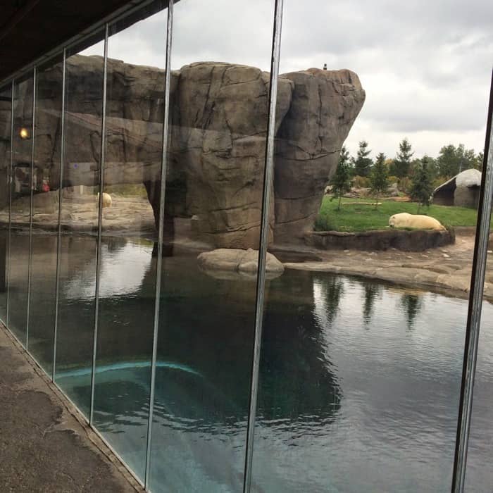 the Columbus Zoo and Aquarium