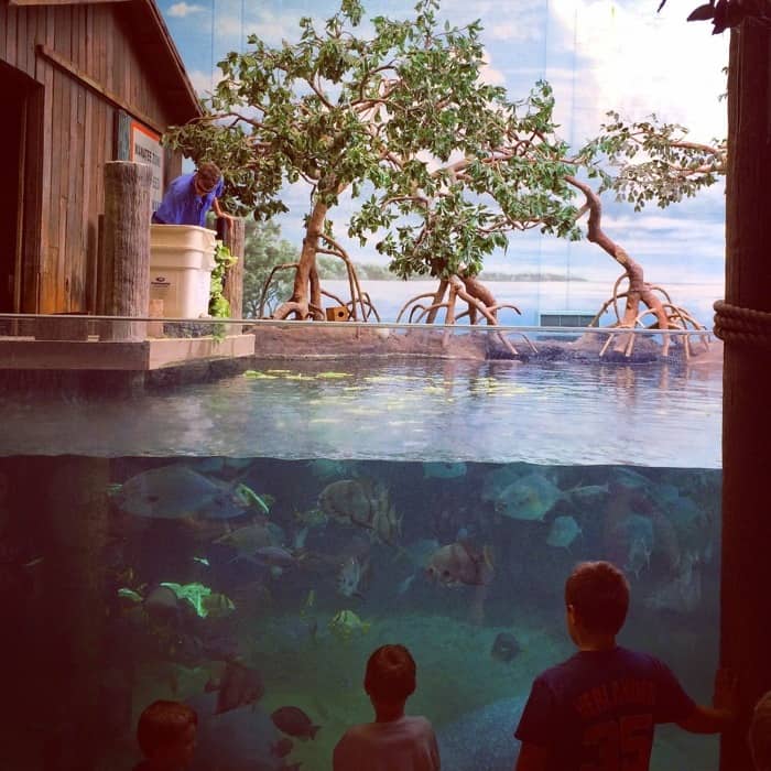 the Columbus Zoo and Aquarium