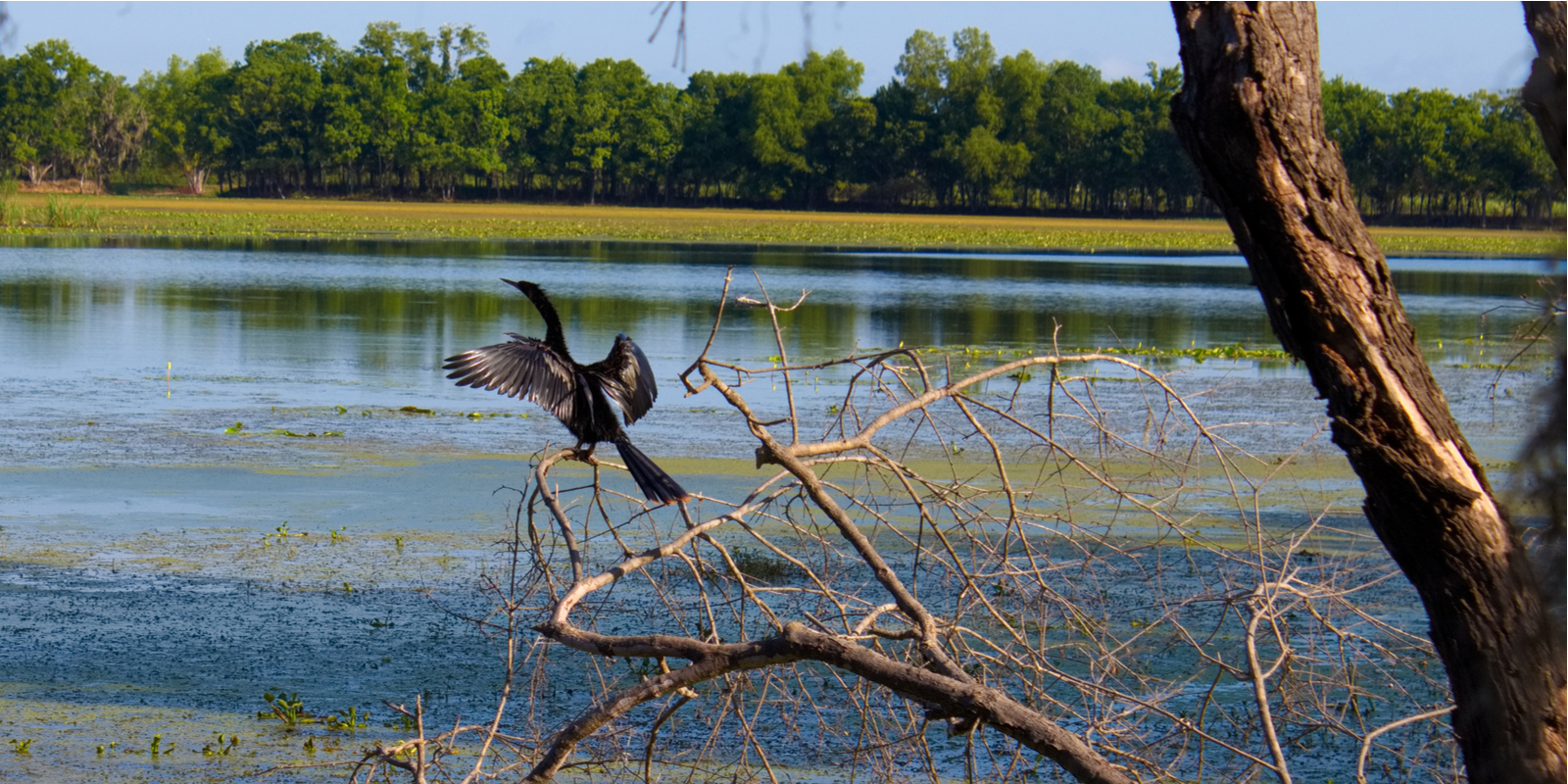 Caw Caw Interpretive Center Charleston