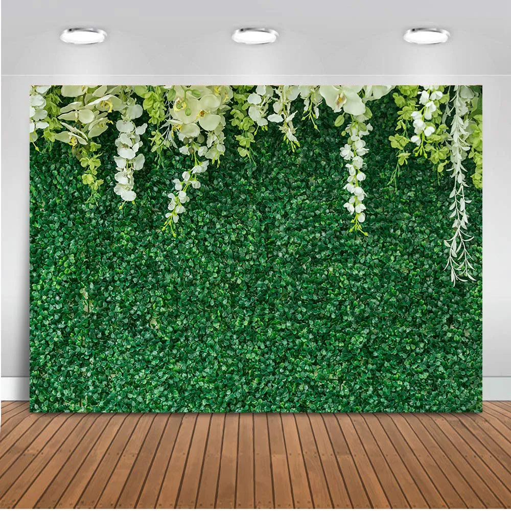 1000+ Green background decoration Ideas, textures and patterns