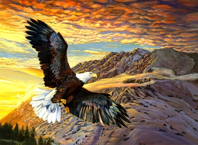 NEW DIY 3D Diamond Painting Eagle The sky Soar Tenacity Mosaic ...