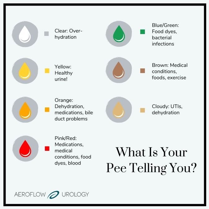 Keeping Your Urinary System Healthy With a Urine Color Chart (2023)