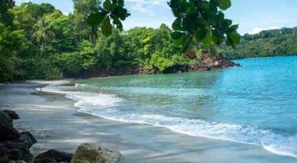 Enjoy Manuel Antonio Sustainably and Responsibly