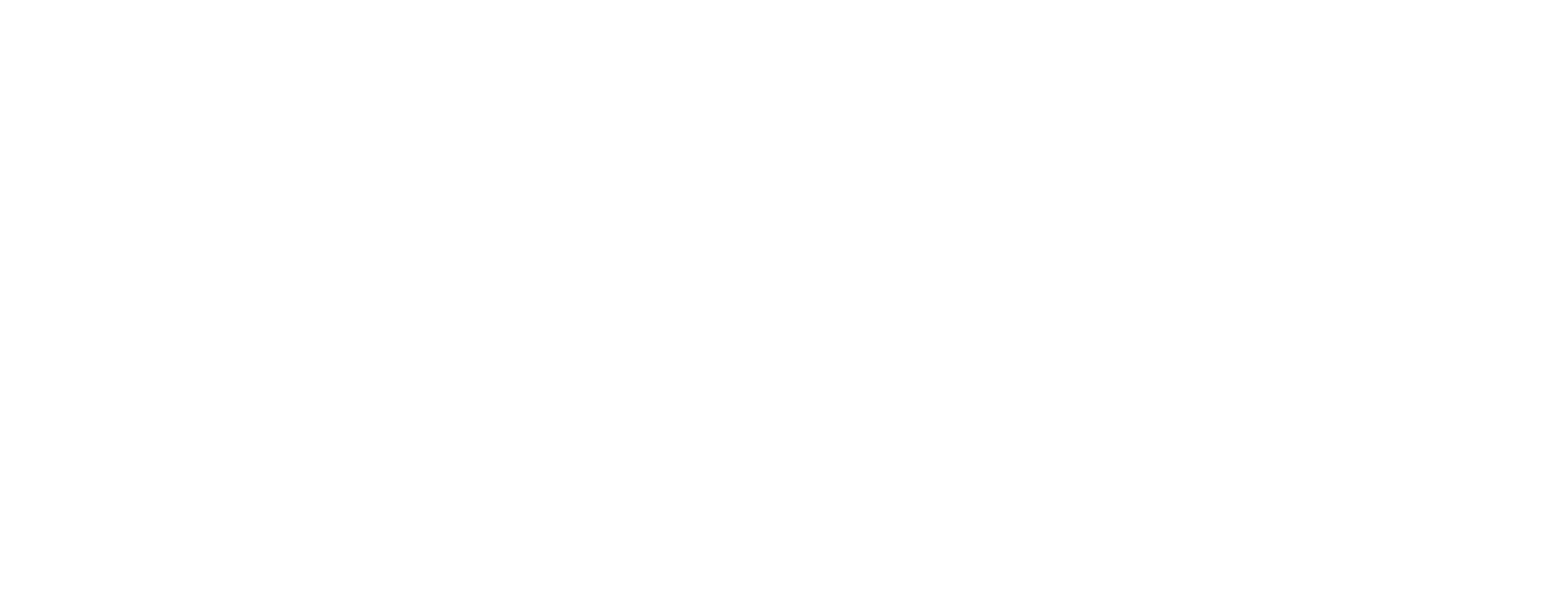 affetto akita