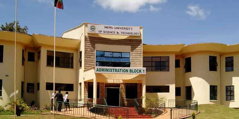 Meru University of Science and Technology - school image