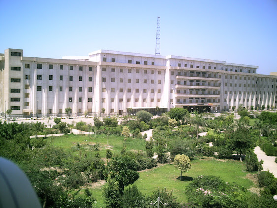 Beni-Suef University - school image