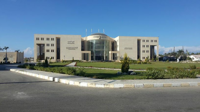 Sinai University - school image