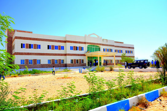 East Africa University - school image